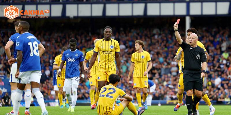 Những nhận định dự đoán kết quả trận đấu Everton vs Brighton